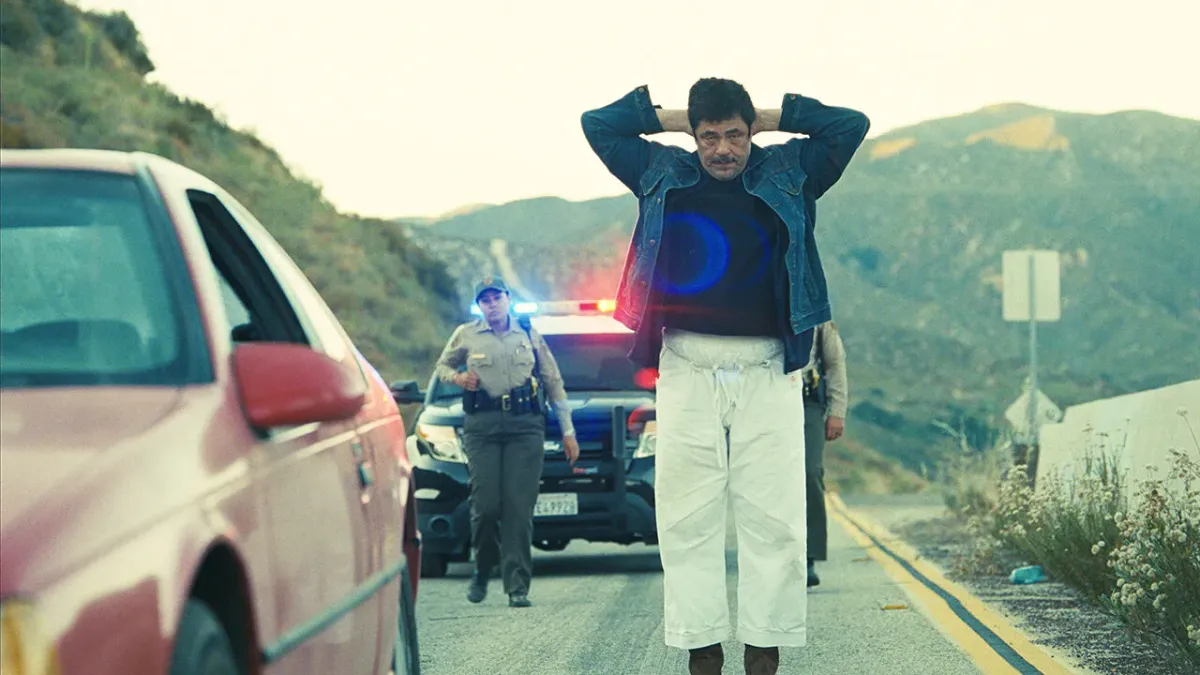 The Best Stuff I Watched In 2025